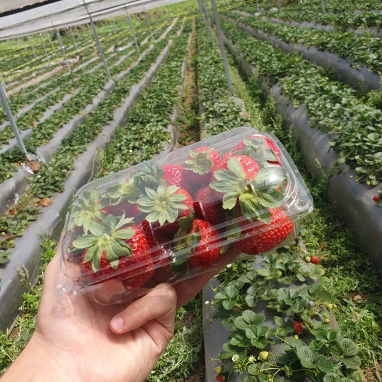 COMUNIDAD DE VARA BLANCA PIDE A TURISTAS VOLVER