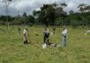 FINCAS GANADERAS RECARBONIZAN SUELOS