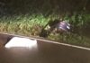 UN MUERTO Y UN HERIDO EN VUELCO EN LA 32