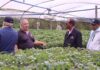 GAMALIEL: PROYECTO DE CULTIVO MODELO EN VARA BLANCA