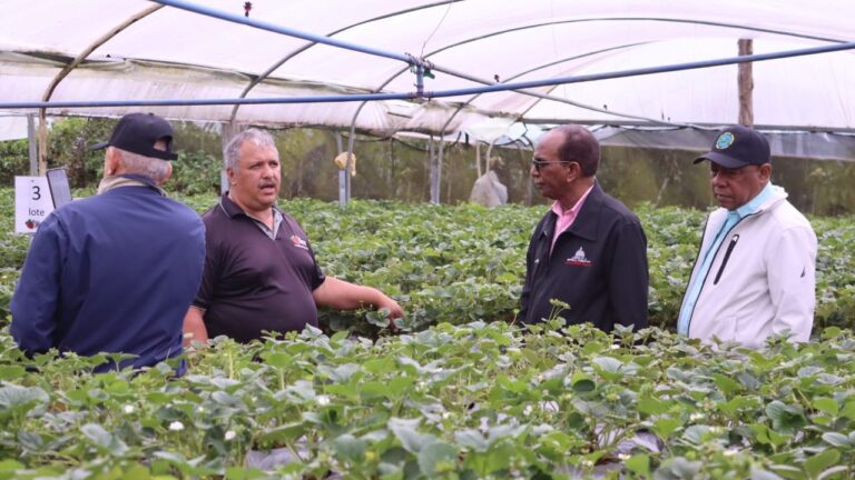 GAMALIEL: PROYECTO DE CULTIVO MODELO EN VARA BLANCA