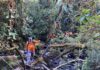CONTINÚA BÚSQUEDA DE DOS MUJERES EN CERRO DANTA