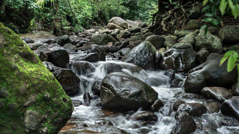 PROYECTO DE SANEAMIENTO AMBIENTAL  IMPACTARÍA RÍOS VIRILLA Y TÁRCOLES