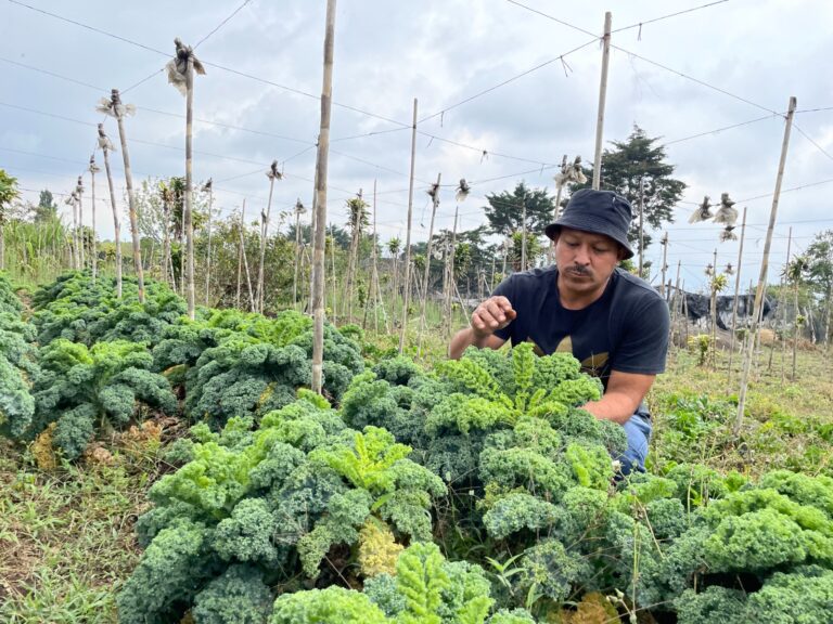 “NO CREÍA EN LA AGRICULTURA ORGÁNICA,  PERO CUÁNDO LA CONOCÍ ME SALVÓ”