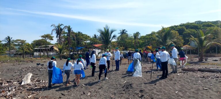 VOLUNTARIOS LIMPIAN PLAYA TIVIVES