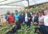 ICE LLEVARÁ ELECTRIFICACIÓN A FINCA GAMALIEL EN VARA BLANCA