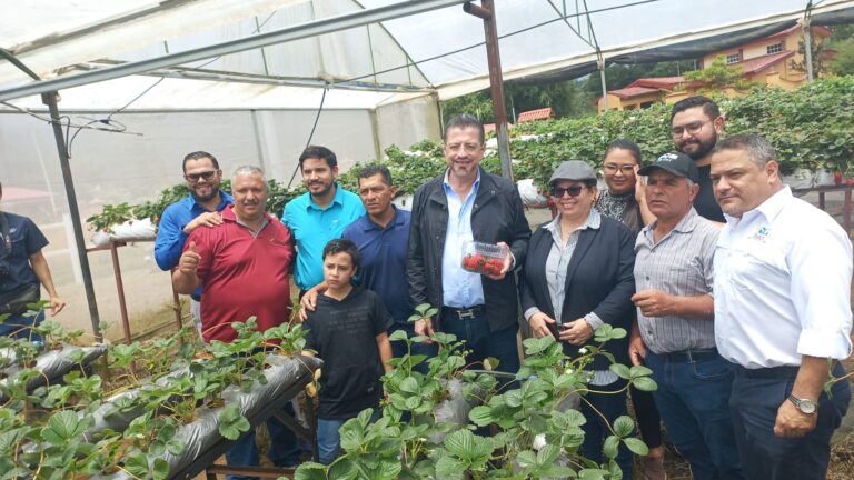 ICE LLEVARÁ ELECTRIFICACIÓN A FINCA GAMALIEL EN VARA BLANCA