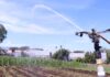 60 FAMILIAS PRODUCTORAS CUENTAN CON SISTEMA DE RIEGO PARA SUS CULTIVOS