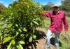A LOS 60 AÑOS SE ENAMORÓ DE LA AGRICULTURA