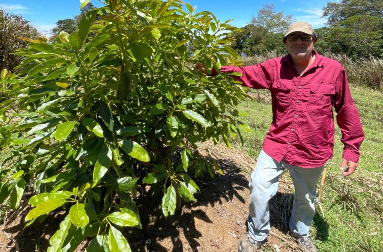 A LOS 60 AÑOS SE ENAMORÓ DE LA AGRICULTURA