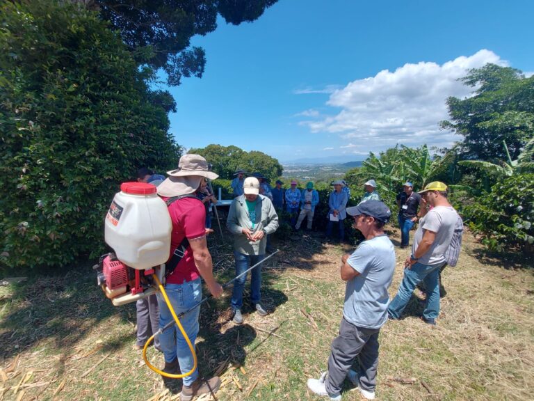 CAMINOS HACIA LA AGRICULTURA SOSTENIBLE