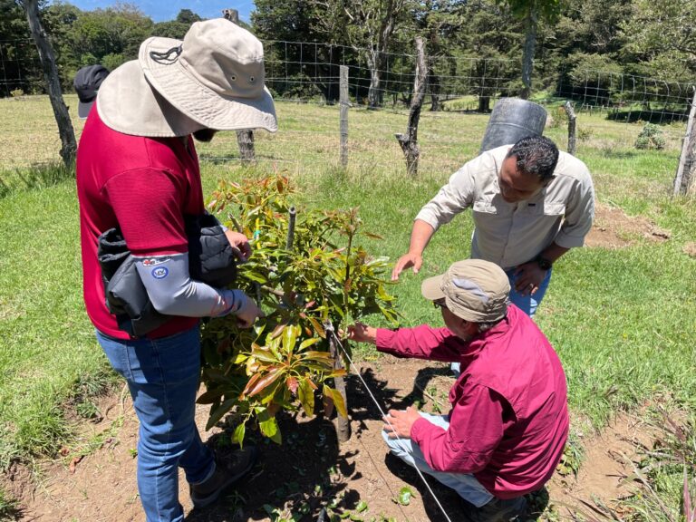 ASISTENCIA TÉCNICA PARA LOS PRODUCTORES HACE LA DIFERENCIA