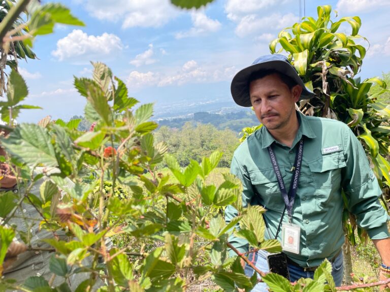 “DEBEMOS ENSEÑAR A LOS AGRICULTORES A PRODUCIR SUELO”