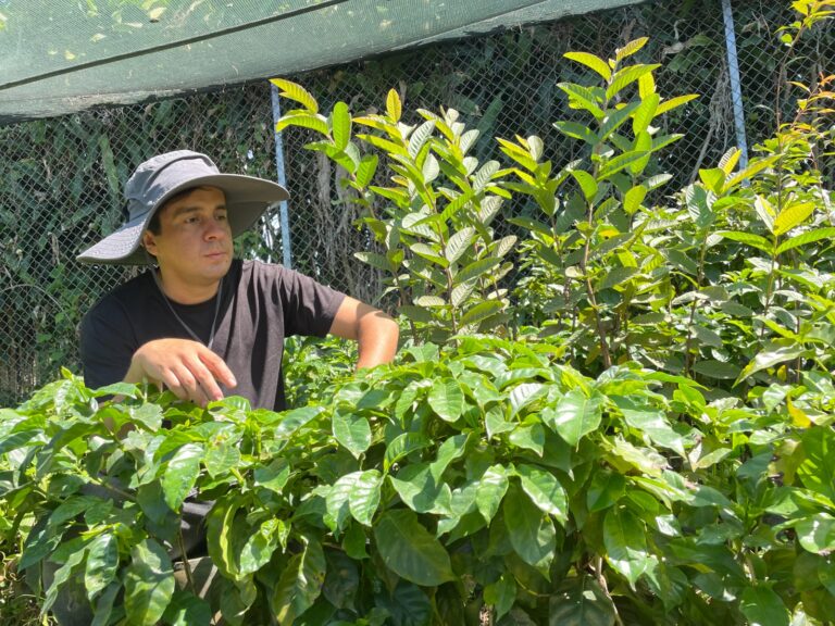 FINCA FLOR DE ABRIL EXPORTA CAFÉ A COREA Y AUSTRALIA