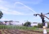 PRODUCTORES DE SANTA BÁRBARA ESTRENAN SISTEMA DE RIEGO