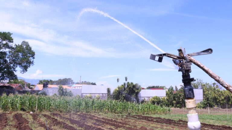 PRODUCTORES DE SANTA BÁRBARA ESTRENAN SISTEMA DE RIEGO