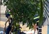 ISIDREÑOS PREOCUPADOS POR BASURA EN EL CANTÓN