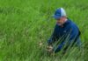 MIPYMES AGRÍCOLAS Y PECUARIAS CONTARÁN CON RECURSOS PARA ENFRENTAR AFECTACIONES CLIMÁTICAS.