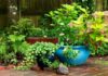 MANTENGA LA BELLEZA Y SALUD DE SUS PLANTAS DURANTE EL INVIERNO Imagen tomada de Clara