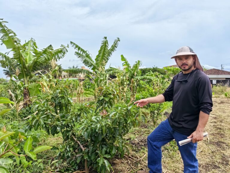 BELEMITA DESARROLLA AGRICULTURA SINTRÓPICA