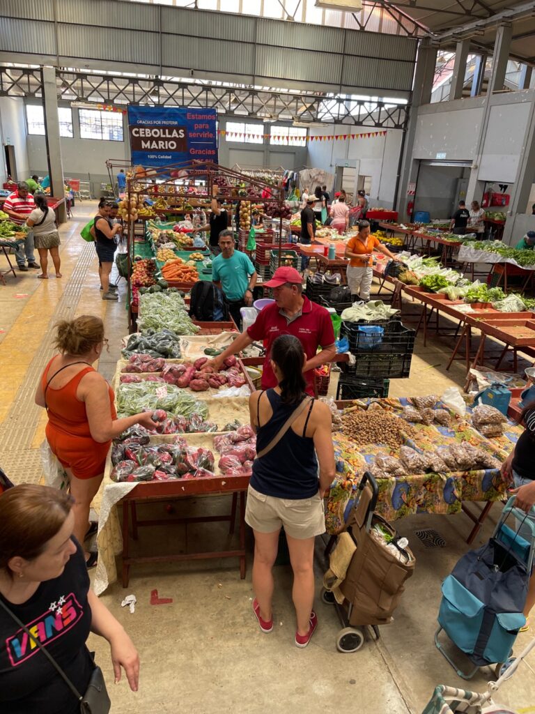 LOS SABERES SALUDABLES BAJAN EL IMPACTO  DE LA HUELLA ECOLOGICA