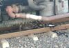 MOTOCICLISTA MUERE EN LAS VÍAS DEL TREN EN SANTA ROSA