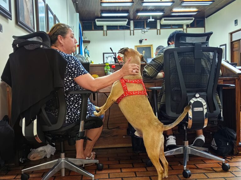 «CHUCK» EL PERRO QUE NO FALTA A LAS SESIONES MUNICIPALES