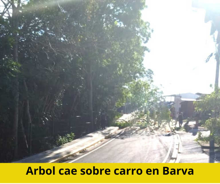 VIENTOS TIRAN RAMA DE ÁRBOL SOBRE CARRO EN BARVA
