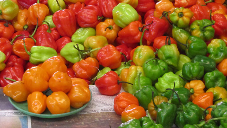 CONCURSO PARA COMER CHILE PICANTE, MAÑANA EN LA FERIA DEL CHILE