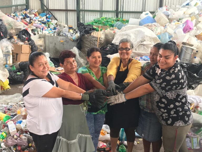 ECOINS CREARÁ DIRECTORIO DE REPARADORES