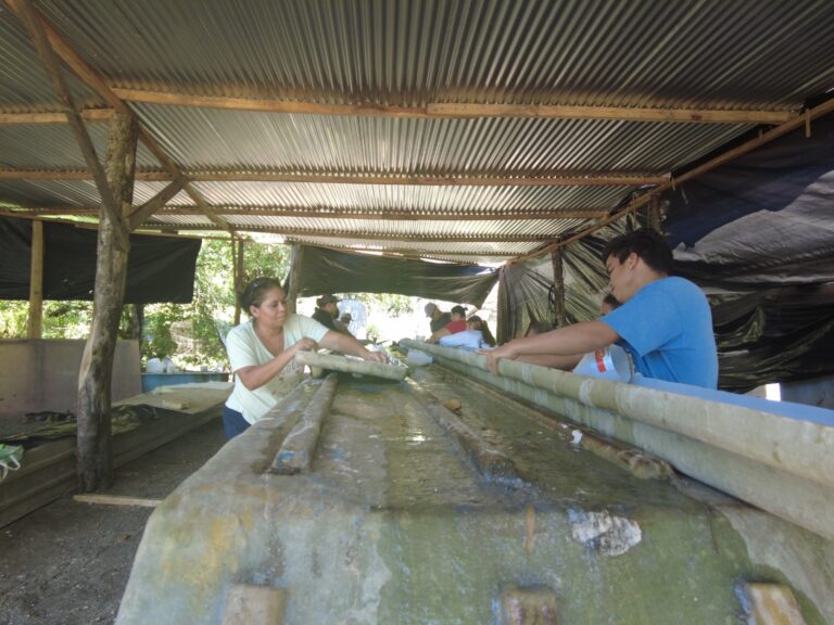 Un grupo de mujeres porteñas trabajan en la construcción de la granja marina y restaurante.
