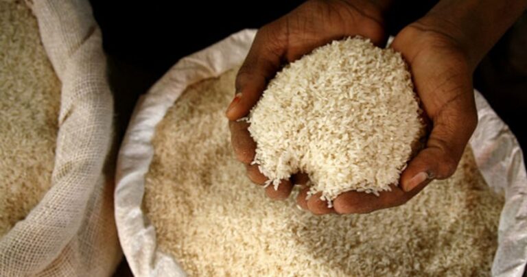 CNP COMPRARÁ ARROZ A MICRO, PEQUEÑOS Y MEDIANOS PRODUCTORES