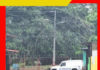 ENCUENTRAN CUERPO DE MUJER DECAPITADA EN TURRIALBA