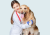 VETERINARIOS LLAMAN A UTILIZAR ANESTECIA EN LIMPIEZA DENTAL DE MASCOTAS