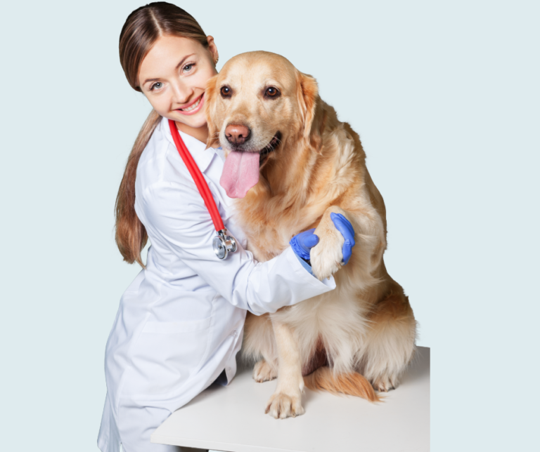 VETERINARIOS LLAMAN A UTILIZAR ANESTECIA EN LIMPIEZA DENTAL DE MASCOTAS