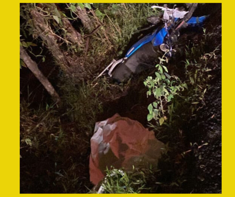 MUERE MOTOCICLISTA AL COLISIONAR CONTRA ÁRBOL