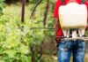 USO DE PLAGUICIDAS EN COSTA RICA, EL COSTO OCULTO DE LA PRODUCCIÓN AGRÍCOLA