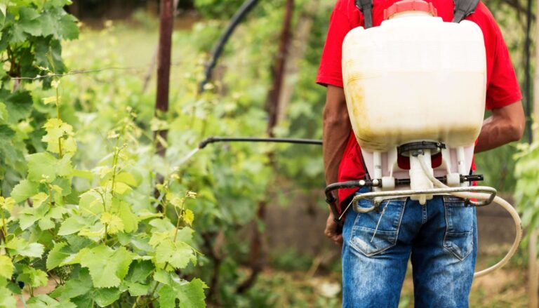 USO DE PLAGUICIDAS EN COSTA RICA, EL COSTO OCULTO DE LA PRODUCCIÓN AGRÍCOLA