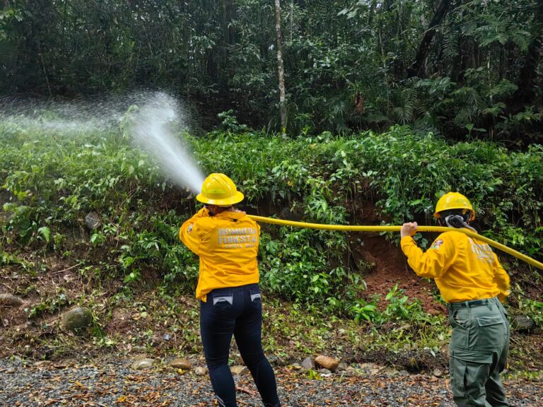 La donación permitió equipar a las brigadas de bomberos.