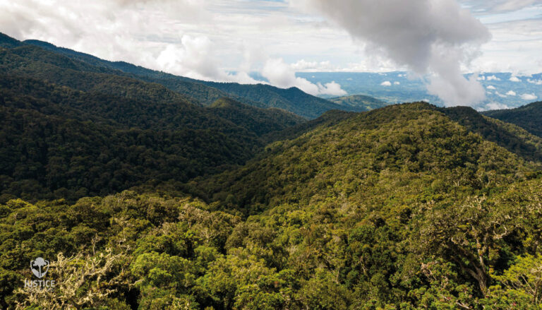 PARQUE INTERNACIONAL LA AMISTAD  TESORO VERDE QUE UNE DOS PAÍSES