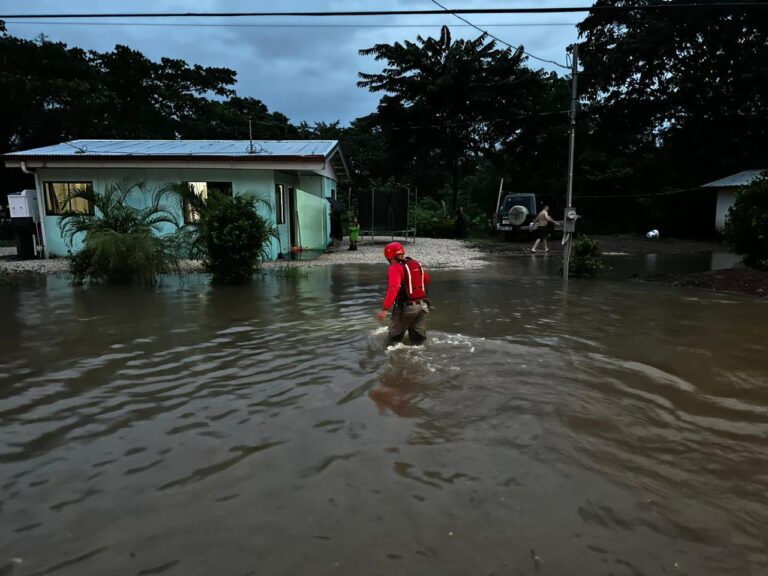 TIENDAS GOLLO RECIBIRÁN VÍVERES PARA AFECTADOS POR INUNDACIONES