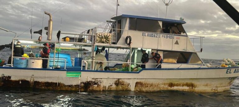 CAPTURAN LANCHA CON PESCA ILEGAL DE TIBURÓN