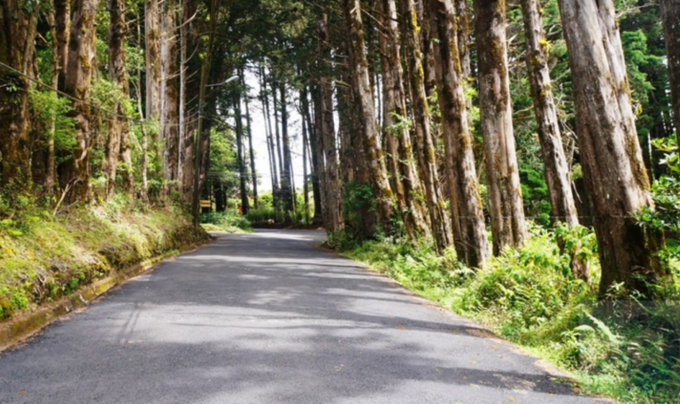 Imágenes con fines ilustrativos.