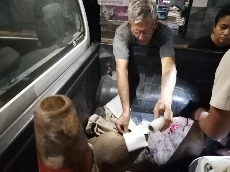 HOMBRE ATACA PERRO A MACHETAZOS