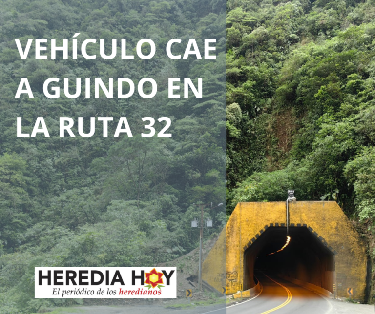 VEHÍCULO CAE A GUINDO EN LA RUTA 32
