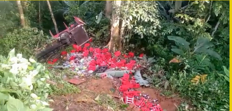 CAMIÓN DE LA COCA COLA CAE A GUINDO EN PÉREZ ZELEDÓN