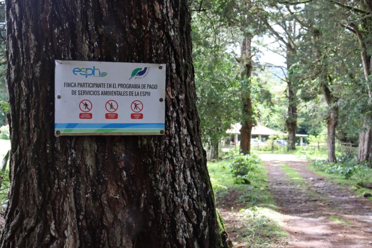 ESPH FORTALECE CANON QUE AYUDA EN PROTECCIÓN DE LOS BOSQUES