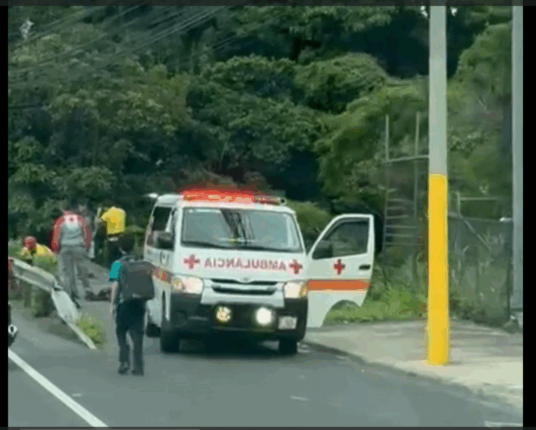 MENOR CAE AL RÍO CONTIGUO AL COLEGIO LOS LAGOS