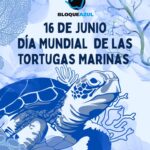 AMBIENTALISTAS HACEN LLAMADO DE ATENCIÓN EN EL DÍA DE LAS TORTUGAS MARINAS