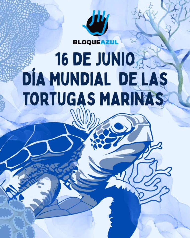 AMBIENTALISTAS HACEN LLAMADO DE ATENCIÓN EN EL DÍA DE LAS TORTUGAS MARINAS